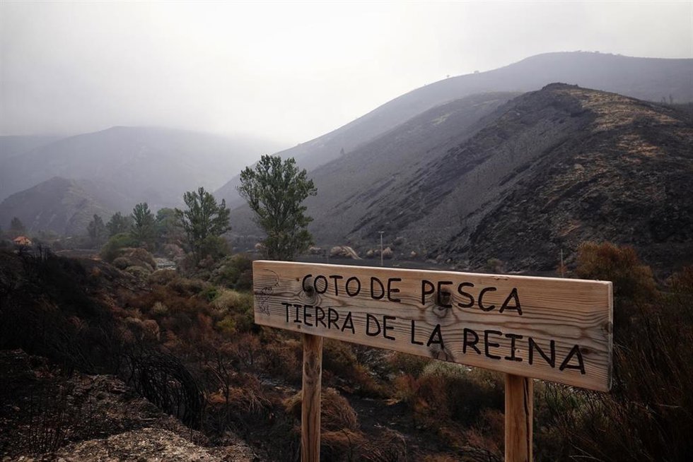 Archivo - Zona quemada por el incendio en el entorno de los Picos de Europa en agosto de 2025, en Tierra de la Riena (León).