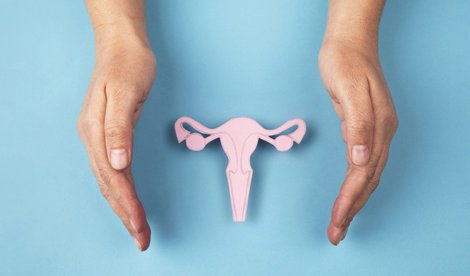 notibrasil sociedade