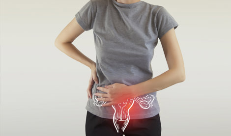 notibrasil sociedade