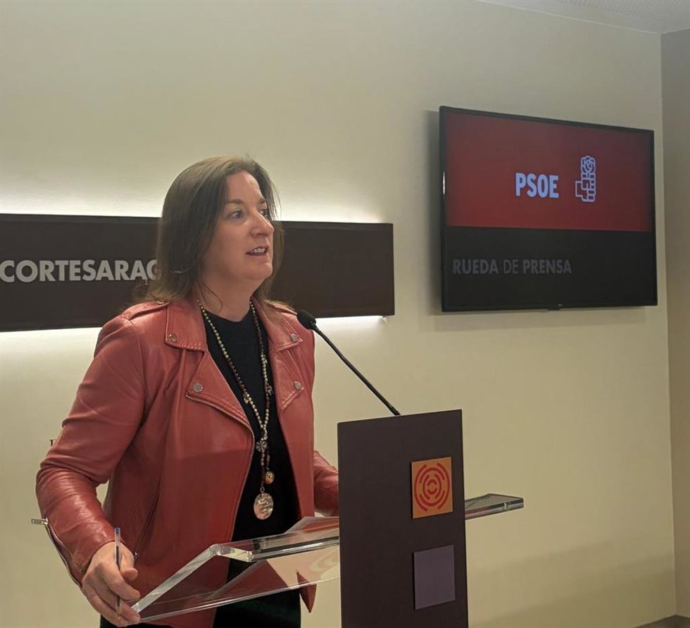 La diputada autonómica del PSOE María Rodrigo.