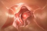Foto: Oncóloga afirma que los cribados y test moleculares orientan la terapia y mejoran los resultados en cáncer colorrectal