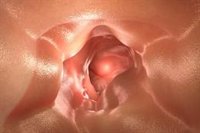 Oncóloga afirma que los cribados y test moleculares orientan la terapia y mejoran los resultados en cáncer colorrectal