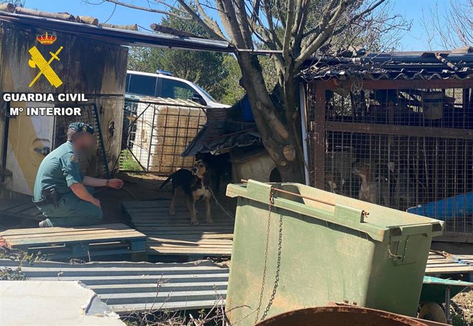 El propietario de una perrera en Lillo del Bierzo (León) ha sido investigado como supuesto autor de un delito de maltrato animal.
