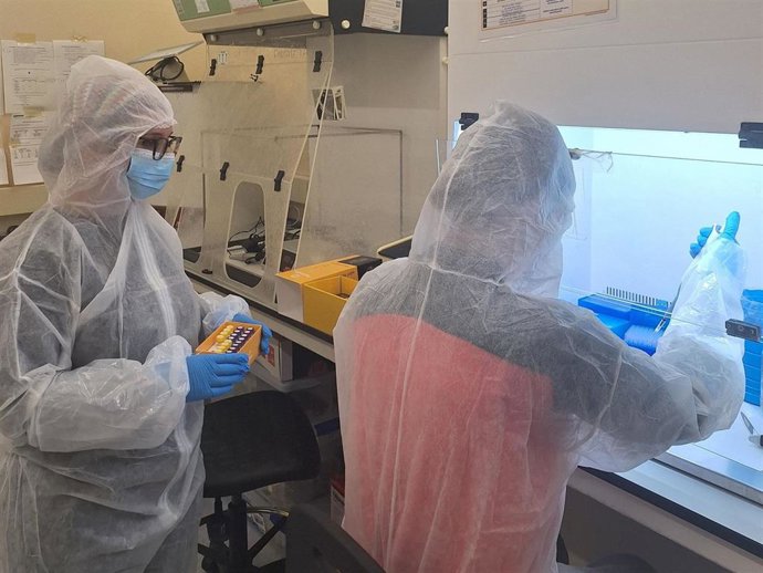 Investigadoras de la UAB en el laboratorio de ADN antiguo de la universidad durante los análisis realizados en condiciones de esterilidad.