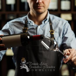 Tomás Elías González Benítez