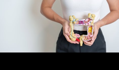 notibrasil sociedade