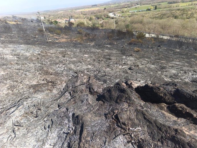 Movemento Ecoloxista da Limia acusa al Ejecutivo gallego de "provocar el primer incendio de la primavera" en Ourense, en el municipio de Bande
