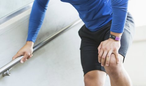 notibrasil sociedade