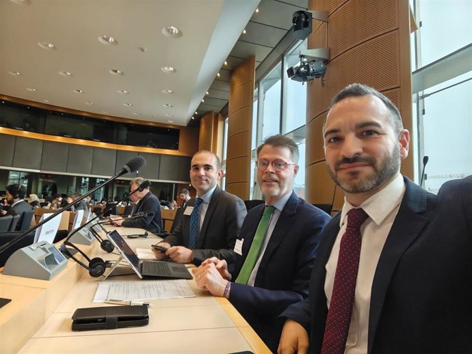 Los integrantes de Sevilla Quiere Metro, en Bruselas, donde han desarrollado una agenda de trabajo con instituciones europeas y los principales grupos políticos acerca de la situación del área metropolitana.