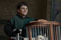 Primer e ilusionante tráiler de Harry Potter y la Piedra Filosofal, que se estrenará en Navidad en HBO Max