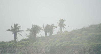 Islas Canarias