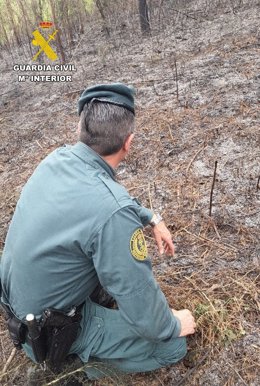 Investigado un varón como presunto autor de un incendio forestal por imprudencia en Sobrado dos Monxes (A Coruña).