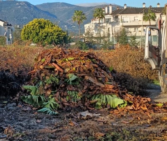 Vertidos ilegales en Los Barrios (Cádiz)