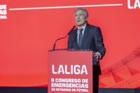 Marlaska: "Habrá una modificación de la ley para perseguir a los grupos ultras"