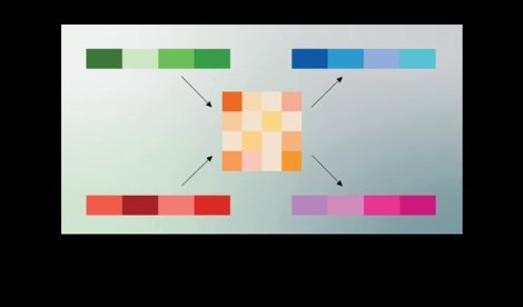 notibrasil sociedade