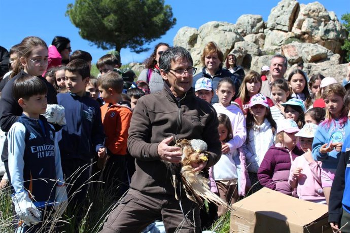 Suelta de aves recuperadas en el centro 'El Chaparrillo'.