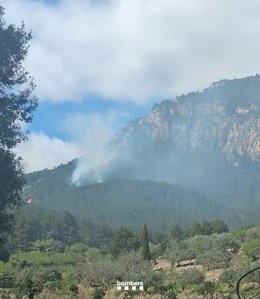 Incendi forestal declarat aquest dijous a Paüls (Tarragona)