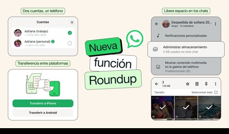 notibrasil sociedade