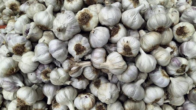 Archivo - Ajo, ajos de Las Pedroñeras.