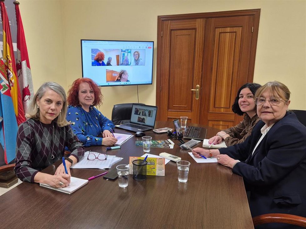 Representantes del Consejo Comarcal del Bierzo durante la videoconferencia mantenida con técnicas del área de Igualdad del Miteco.