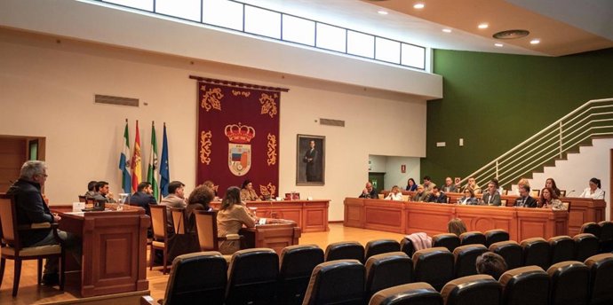 Pleno del Ayuntamiento de Torremolinos