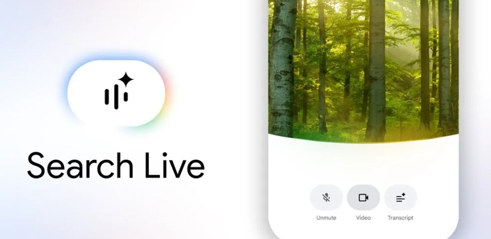 Search Live