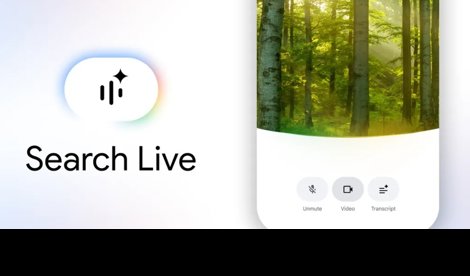 notibrasil sociedade