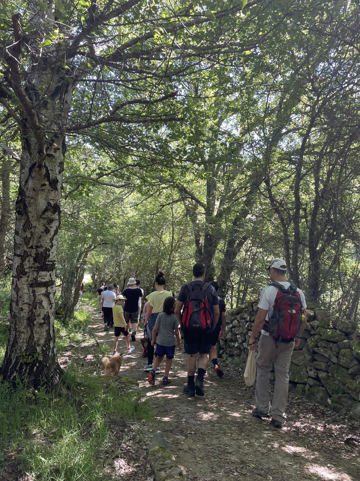 Dos paseos interpretativos este fin de semana para descubrir el Parque Natural de la Sierra de Cebollera