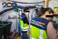 La Policía Nacional desmantela dos plantaciones 'indoor' de marihuana en Alcantarilla y detiene a seis personas
