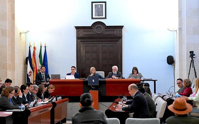 Pleno del mes de marzo del Ayuntamiento de Jerez.