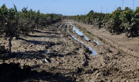 Es Andalucía - Sevilla