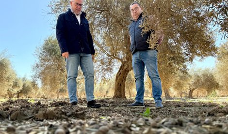 Es Andalucía - Jaén