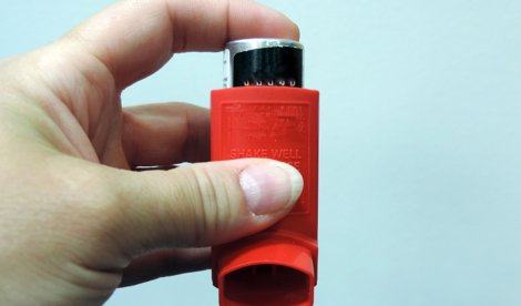 notibrasil sociedade