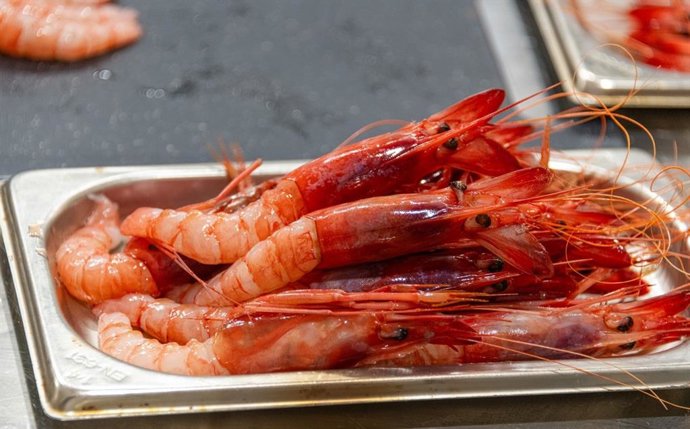 Archivo - El Ministerio de Pesca establece "topes de captura" a la gamba roja en el Mediterráneo para este 2026 .