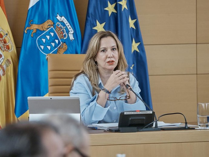 Rosa Dávila, presidenta del Cabildo de Tenerife, en un pleno
