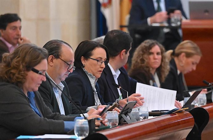 La delegada municipal de Comercio en el Ayuntamiento de Jerez de la Frontera, Nela García, interviniendo en el pleno municipal sobre la zona de gran afluencia turística.