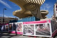 Alcalde de Sevilla defiende los plazos de las obras del centro por los fondos europeos aunque señala que "afean un poco"