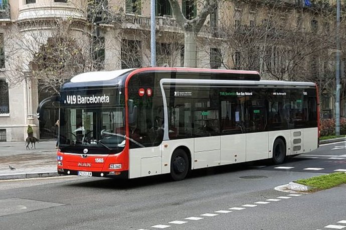 Bus V19 De TMB.