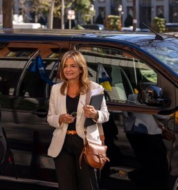 La consejera de Sanidad de Canarias, Esther Monzón, a su llegada al Consejo Interterritorial