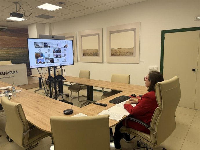 La consejera de Agricultura, Ganadería y Desarrollo Sostenible en funciones, Mercedes Morán, ha participado este viernes en la Conferencia Sectorial de Agricultura y Desarrollo Rural.