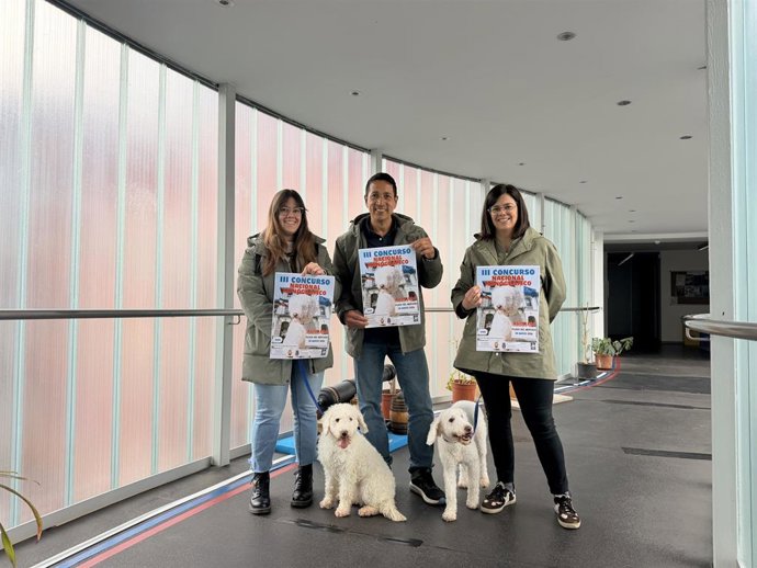 Astillero acoge este sábado el III Concurso Nacional Monográfico de Perro de Agua del Cantábrico