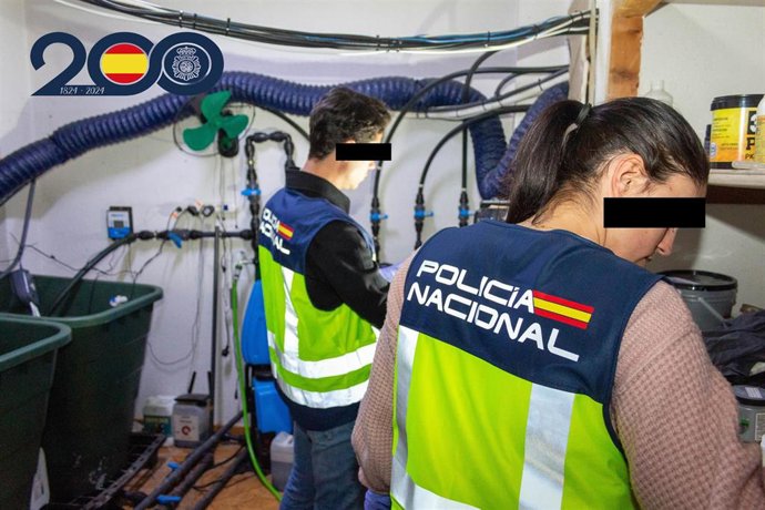 Sucesos.-La Policía Nacional desmantela dos plantaciones 'indoor' de marihuana en Alcantarilla y detiene a seis personas