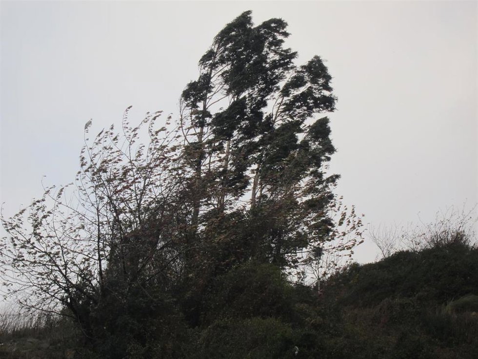 Archivo - Rachas de viento      