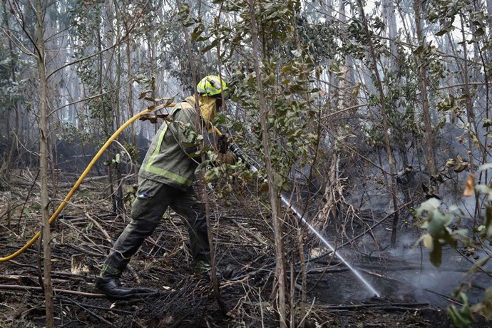 Archivo - Bomberos trabajan en las tareas de extinción del incendio forestal en Cervo, a 5 de noviembre de 2025, en Cervo, Lugo, Galicia (España).