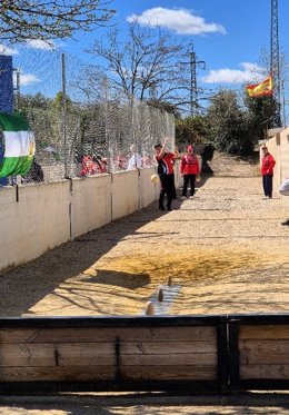 Campeonato de bolos celebrado este mes en Mogón.