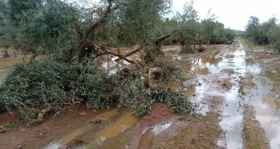 Extremadura