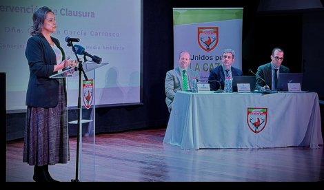 Es Andalucía - Málaga