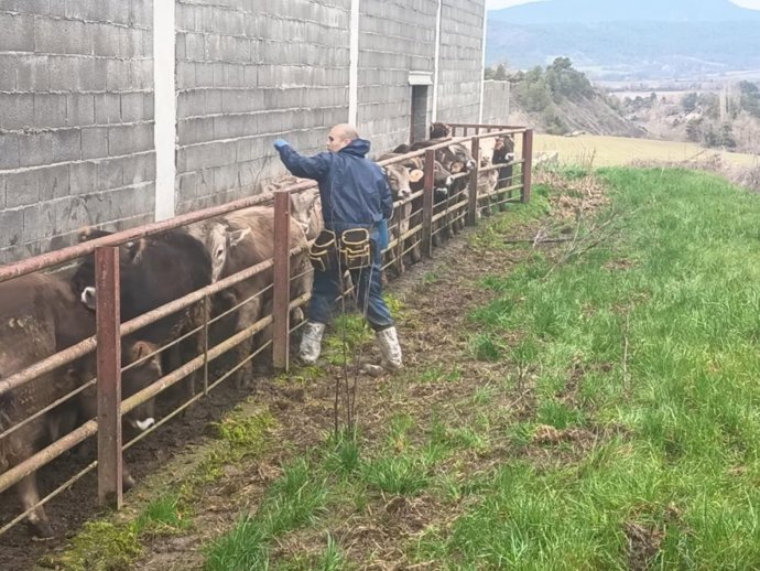 El Gobierno de Aragón moviliza más de 3 millones de euros para hacer frente a la DNC.