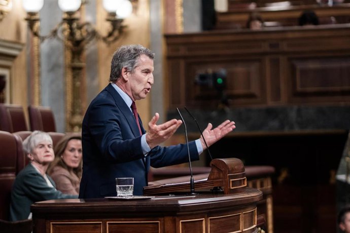 El presidente del Partido Popular, Alberto Núñez Feijóo