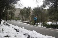 Temporal en Baleares: nevadas por encima de los 800 metros y rachas de viento de más de 100 kilómetros por hora